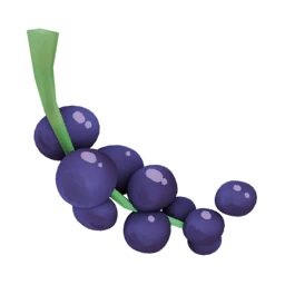 Blackcurrant.png