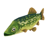 Pike