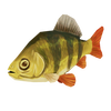 Perch