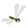 Green dragonfly