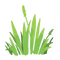 Grass.png