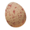 New Hampshire Red Chicken egg.png