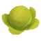 Cabbage.png