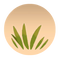 Grass Seed.png