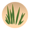 Sedge.png