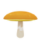 Yellow boletus.png